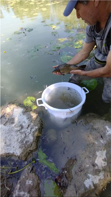 Pêche de sauvetage — photo 3