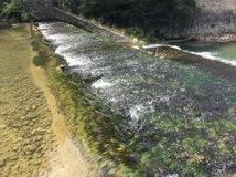 Milieu aquatique du pays du Guiers