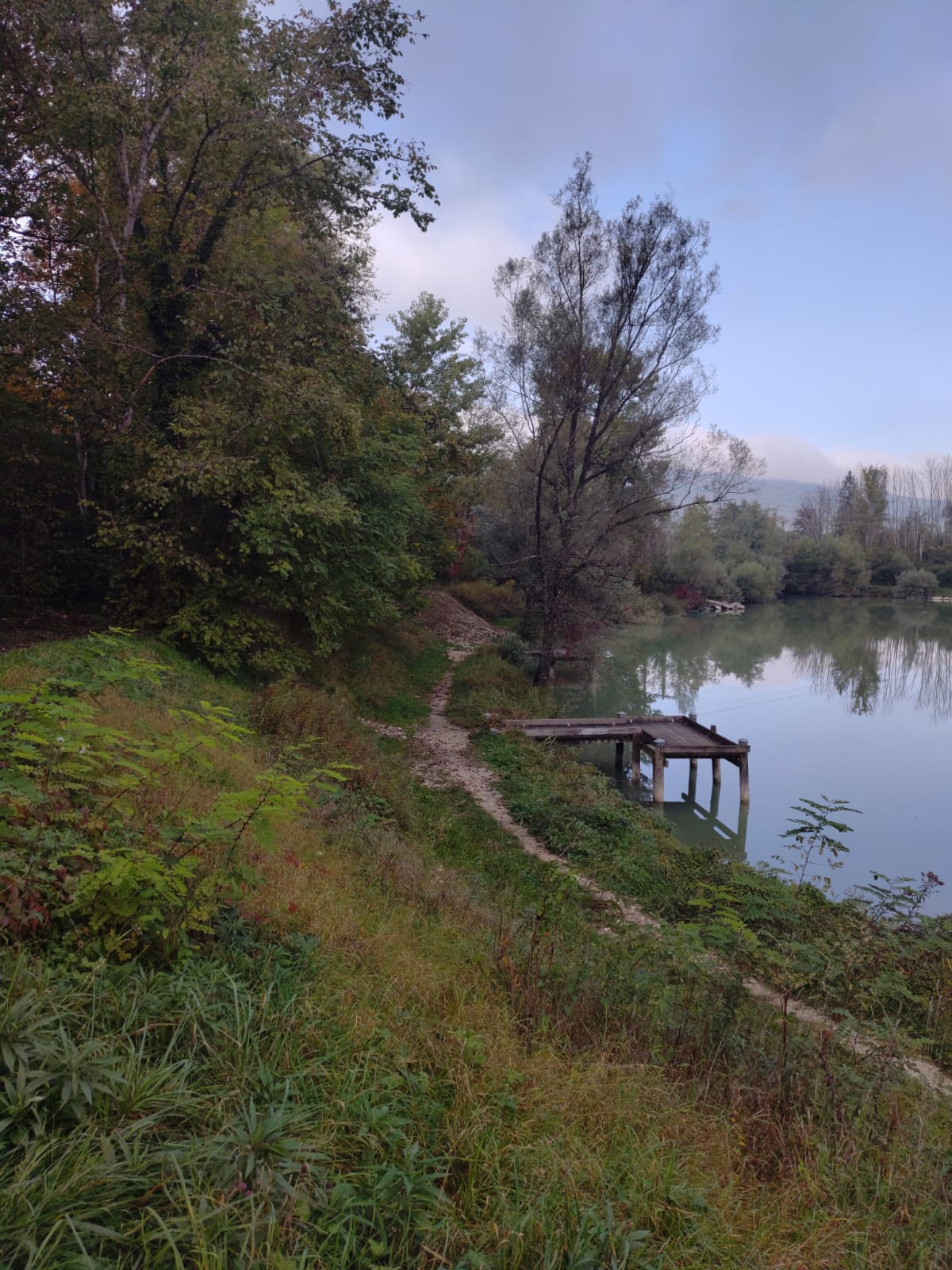 IMG-20251001-WA0014(1)