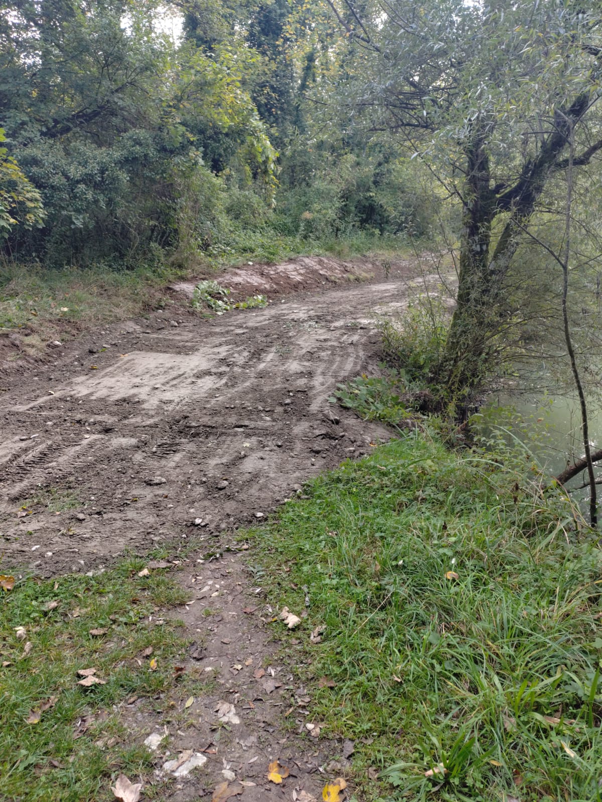 IMG-20251001-WA0015(1)